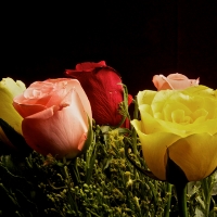 colors-copy
