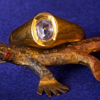ring4